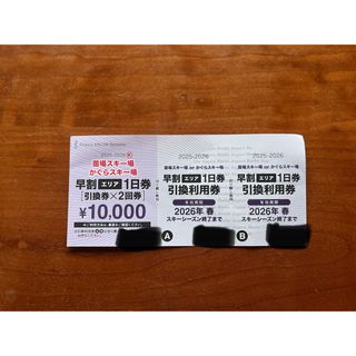 アライリゾート リフト券 エコノミー 大人 1枚の通販 by すぎぽん's