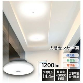 ピーターアイビー PETER IVY 照明 Light Capsule Sの通販 by J's shop