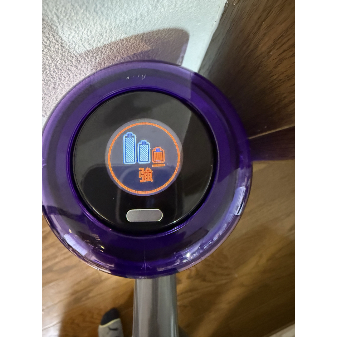 Dyson - 単品購入OK! ダイソン V12 SV20 分解清掃済み 完動良品の