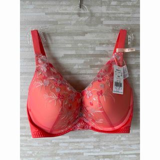 モテフィット ブラ てんちむ ナイトブラ フリーサイズ S～M 新品未使用