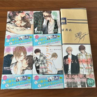 小綱実波 背中を預けるには コミコミ ポイント交換特典小冊子 非売品の