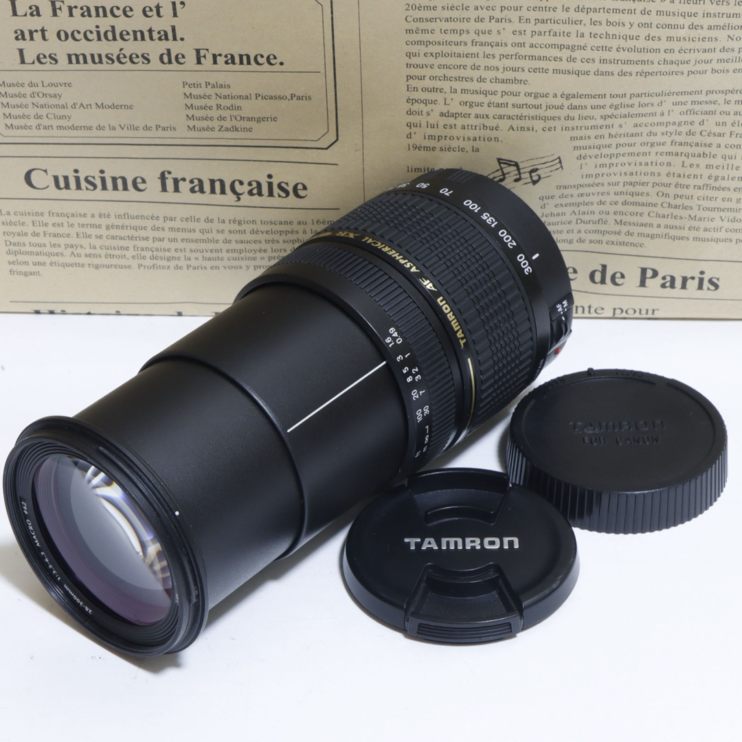 Canon - ☆一本で標準+超望遠レンズ☆ Tamron28-300mm for canon☆の