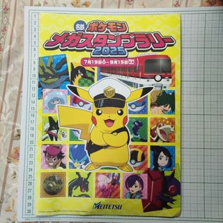 ポケモン - ポケモンセンターオンライン ピカチュウ賞 おとどけ