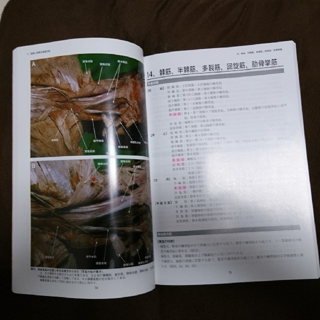 医学本 骨格筋の形と触察法の通販 by ラン's shop｜ラクマ