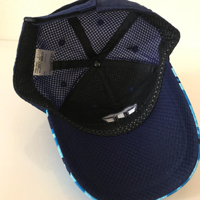 阪神タイガース - 《未使用⋆非売品》阪神タイガース 関係者配布