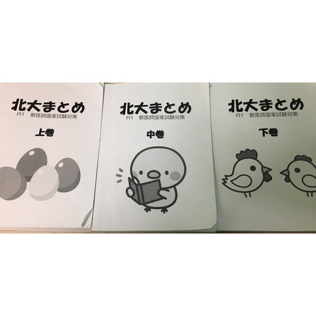 北大まとめ(令和元年度) CBT対策などにもどうぞの通販 by えみ's shop