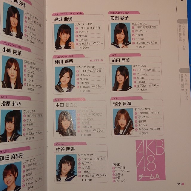 AKB48 - AKB48 篠田麻里子 下敷き ポストカード チーム名鑑の通販 by