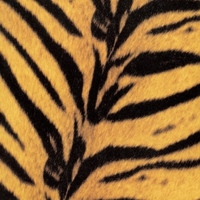 Tigermobile : THE HIGH-LOWS | HMV&BOOKS online - UPCY-9925