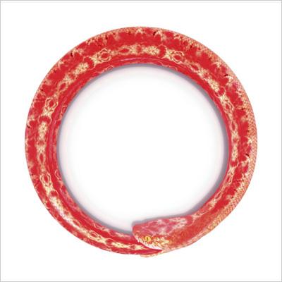 完全感覚Dreamer : ONE OK ROCK | HMV&BOOKS online - AZCB-2002