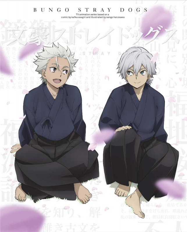 文豪ストレイドッグス 第24巻【DVD】 : 文豪ストレイドッグス