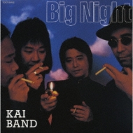 ビッグ・ナイト : 甲斐バンド | HMV&BOOKS online - TOCT-26482