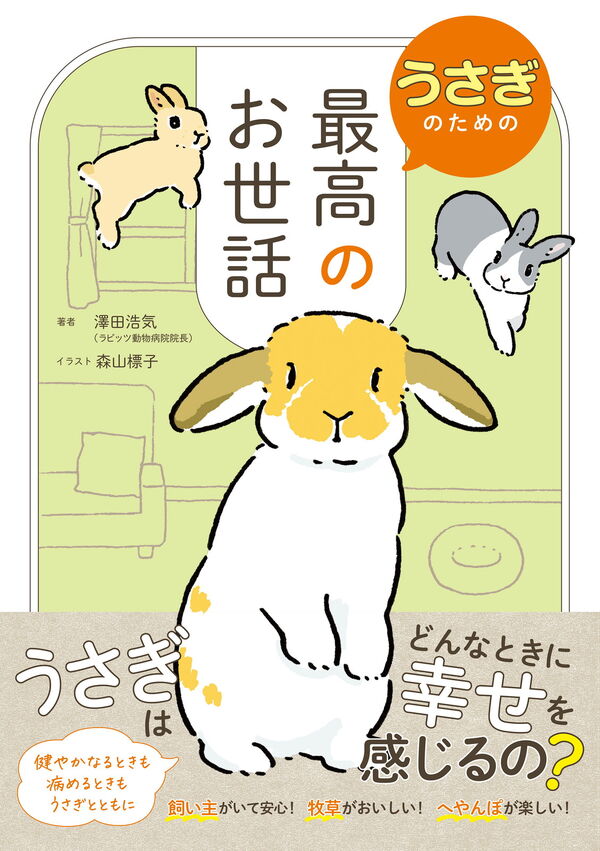 うさぎのための最高のお世話 澤田 浩気(著) - 新星出版社 | 版元ドットコム