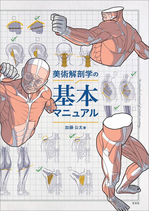 美術解剖学の基本マニュアル 加藤 公太(著) - 玄光社 | 版元ドットコム