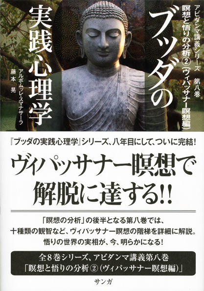 ブッダの実践心理学 第八巻 瞑想と悟りの分析②（ヴィパッサナー瞑想編