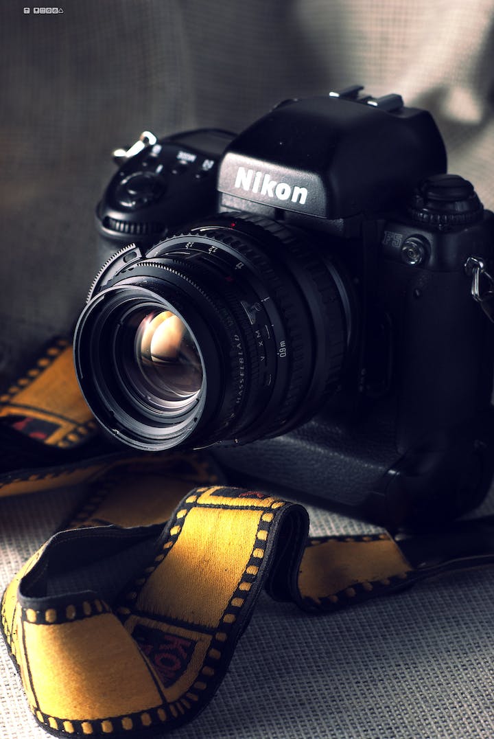 Nikon F5を徹底解説。作例からおすすめレンズまで | ONE SCENE（ワン