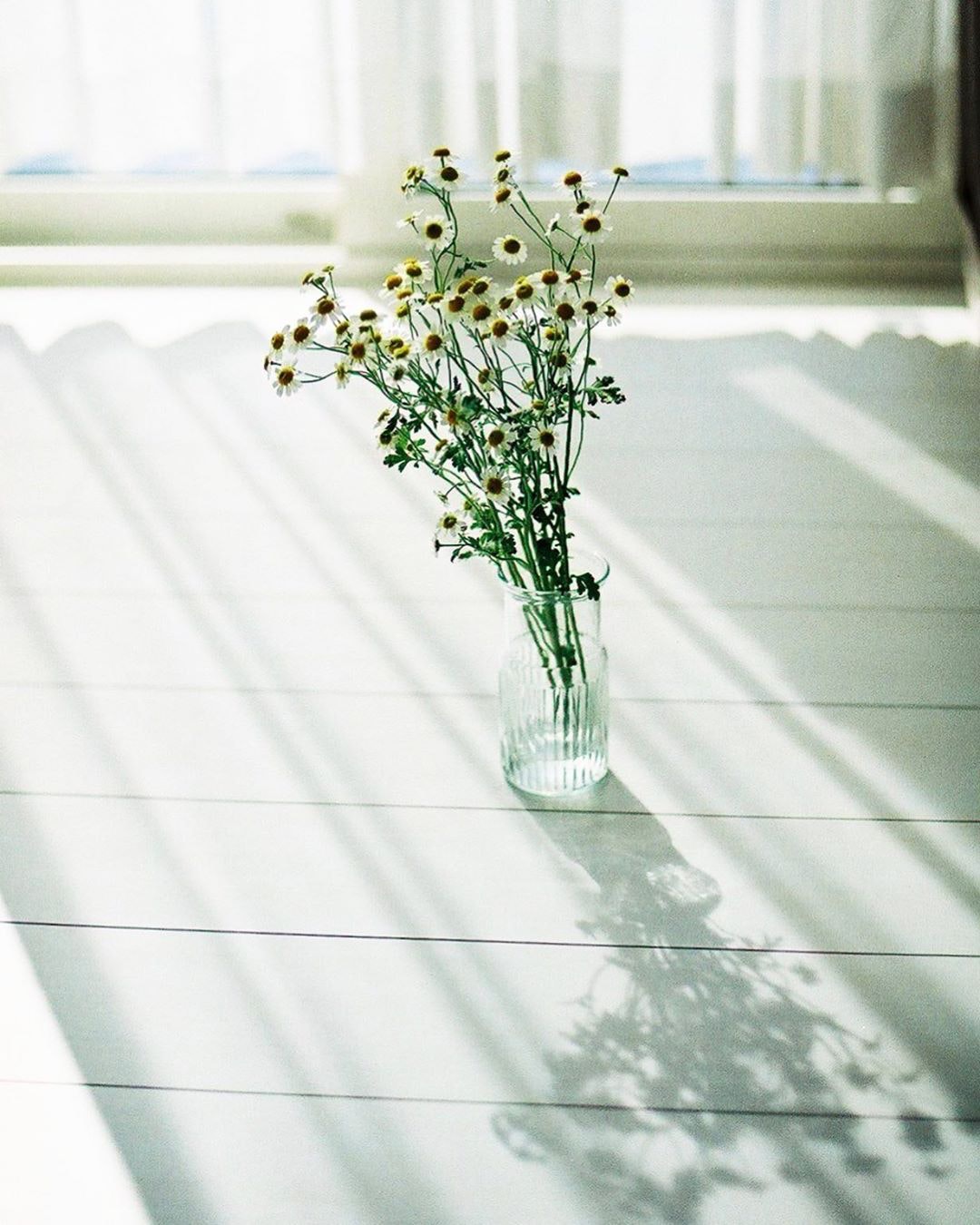 Nikon FE2を徹底解説。作例からおすすめレンズまで | ONE SCENE（ワン