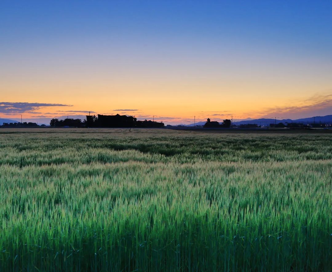 Canon EF16-35mm F2.8L II USMを徹底解説。作例からレビューまで | ONE