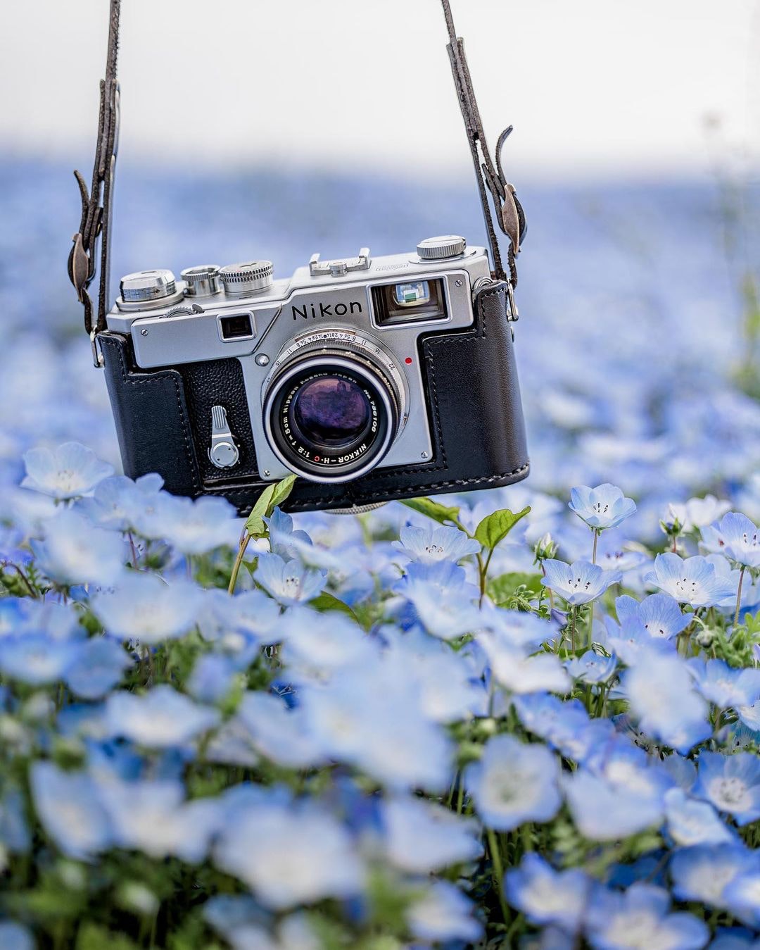 Nikon S3を徹底解説。作例から中古相場・レビューまで | ONE SCENE