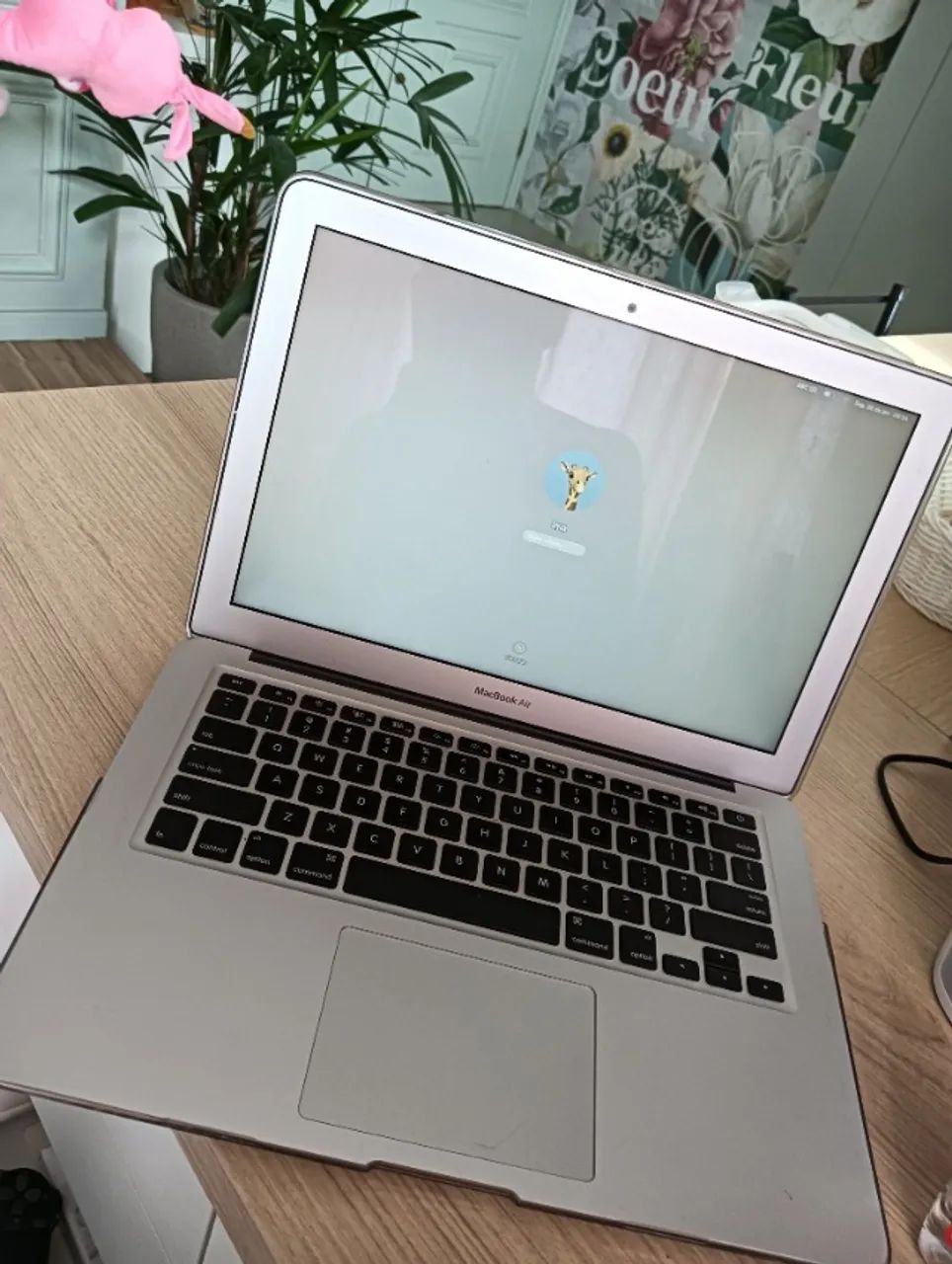 Notebook Apple Macbook A1466 Core I5 4gb Ssd 120gb 13.3 (Usado