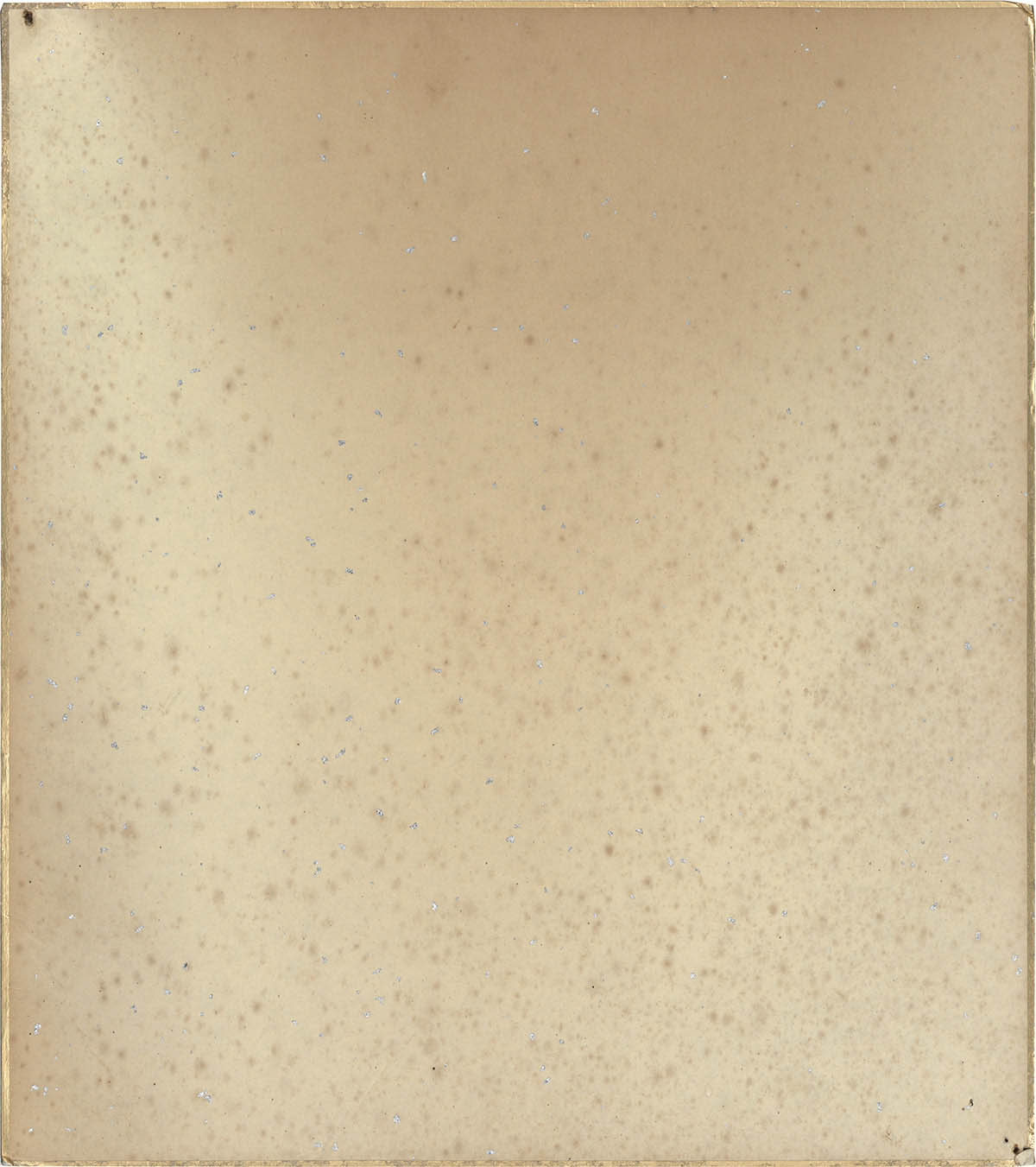 3124] 井上雄彦 直筆色紙「SLAM DUNK」赤木晴子