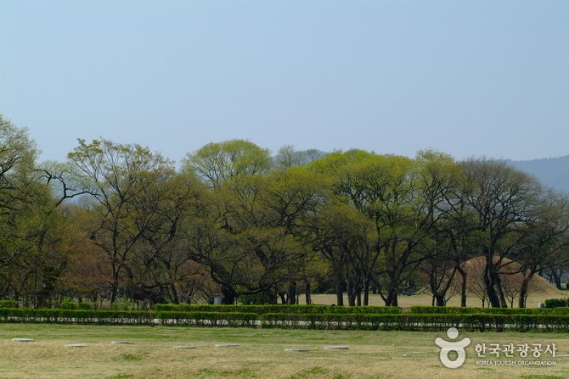 慶州歴史遺跡地区 | 경주역사유적지구 : トリップポーズ