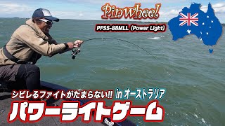 Pinwheel / ピンウィール ｜PALMS ｜ 株式会社パームス