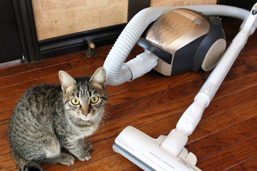 プロダクトアワード金賞！ パナソニックの紙パック式掃除機「MC-PK18G