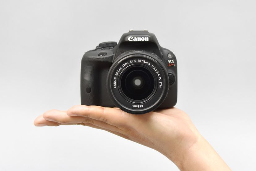 2017春》初心者向け一眼レフカメラ徹底比較！ キヤノン、ニコン