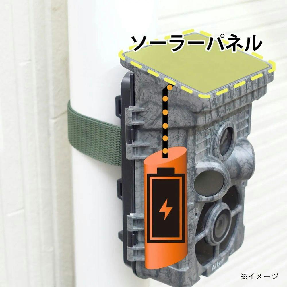 キャロットシステムズ 乾電池・ソーラーバッテリーセンサーカメラ AT-2