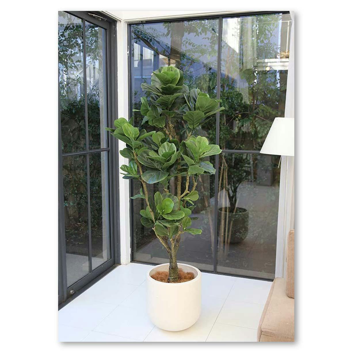 GREEN COFFRET カシワバゴム180cm 人工観葉植物 フェイクグリーン