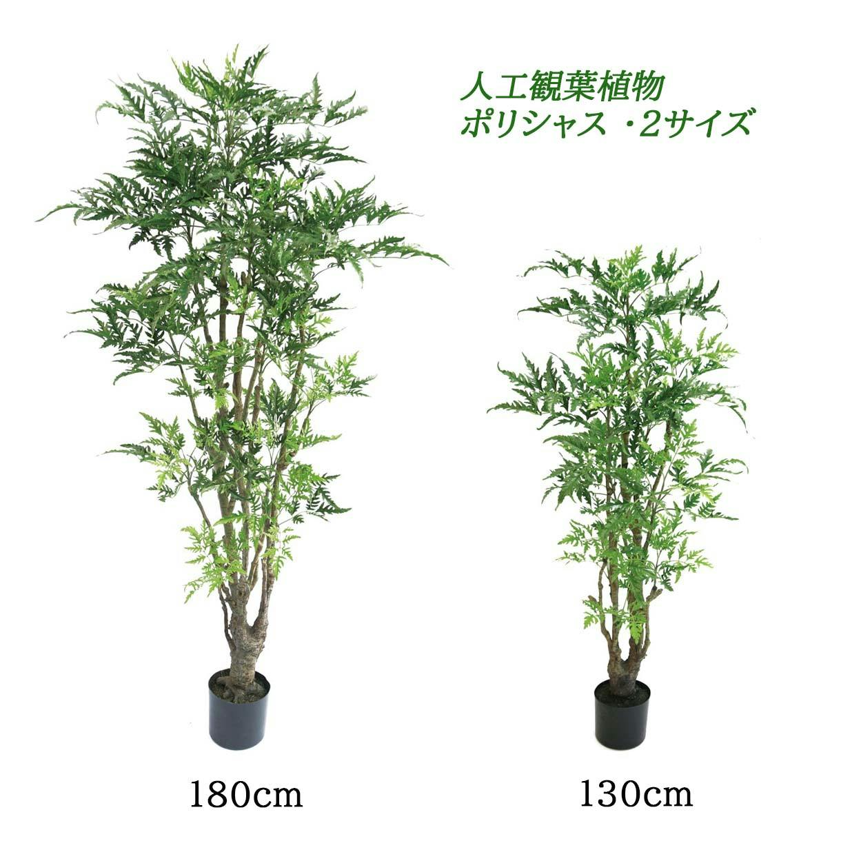 GREEN COFFRET ポリシャス130cm 人工観葉植物 フェイクグリーン