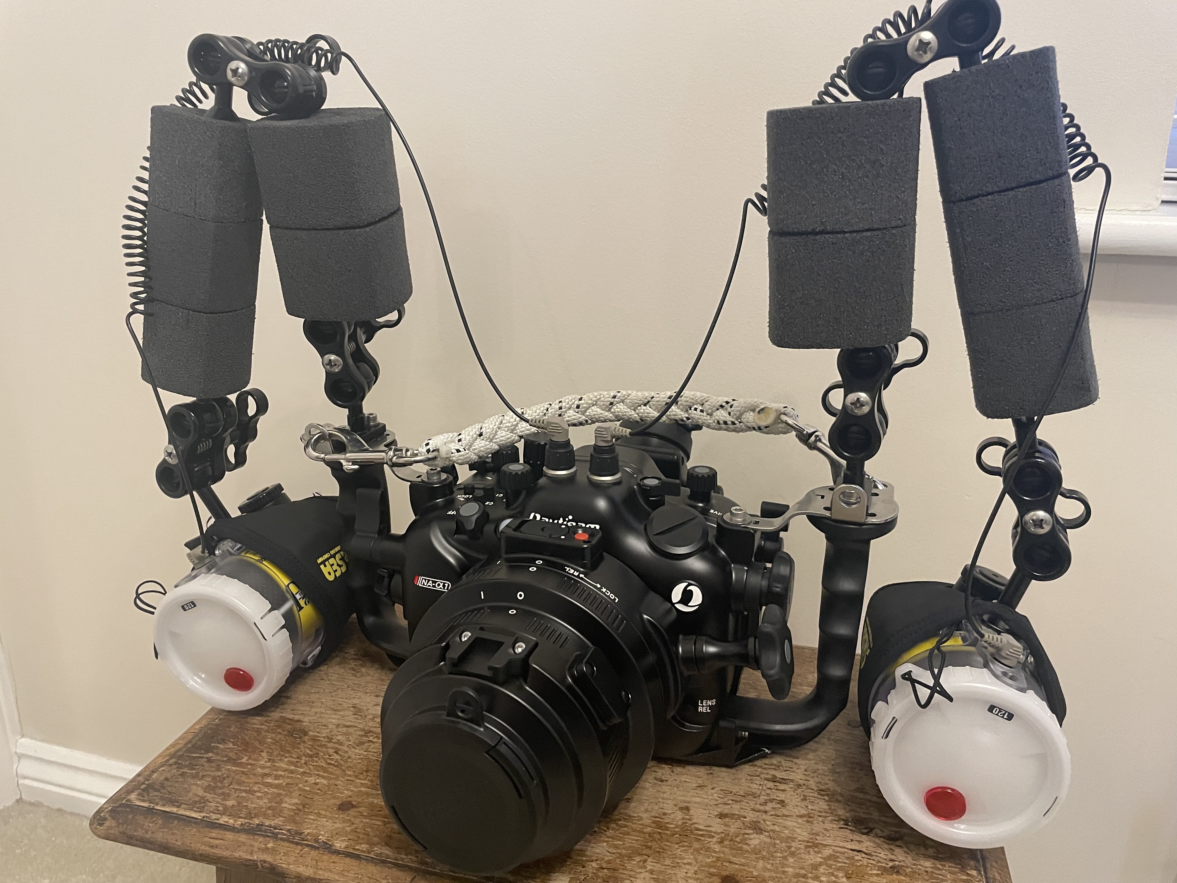 Going Macro with Sony A1 and 90mm Macro Lens | Interceptor121