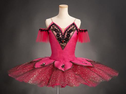 バレエ衣装・チュチュレンタル 衣装畑のホームページ / 検索結果