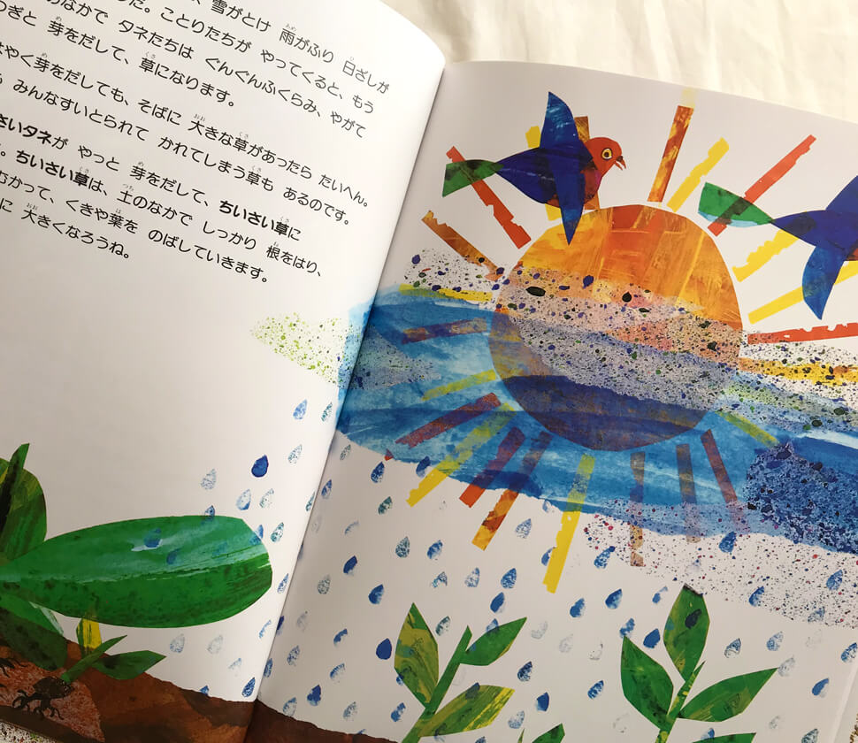 4歳〜・店長レビュー】エリック・カール『ちいさいタネ』（口コミ