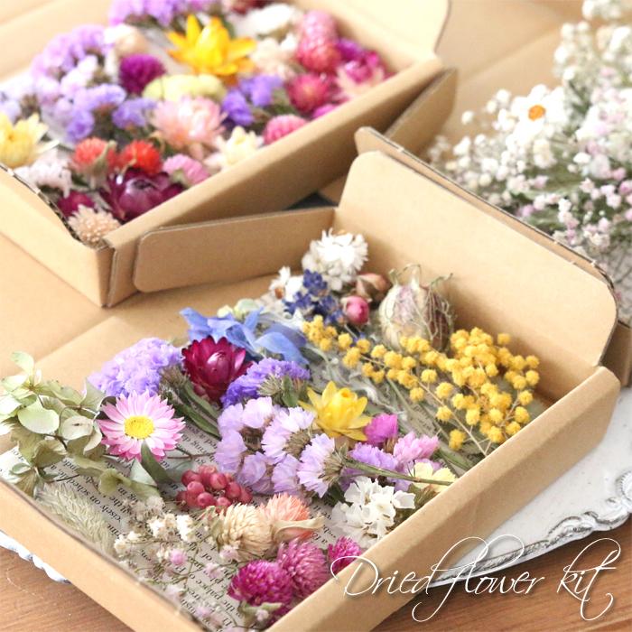 ドライフラワー 詰め合わせ 花材セット MIX （オリジナルB） : 花