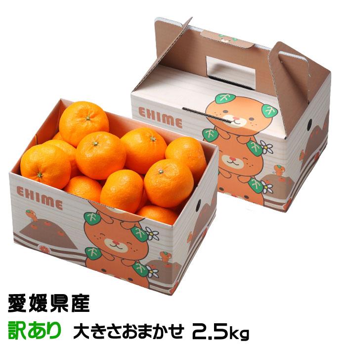 みかん はれひめ 訳あり 大きさおまかせ 2.5kg みきゃん箱入り 愛媛県