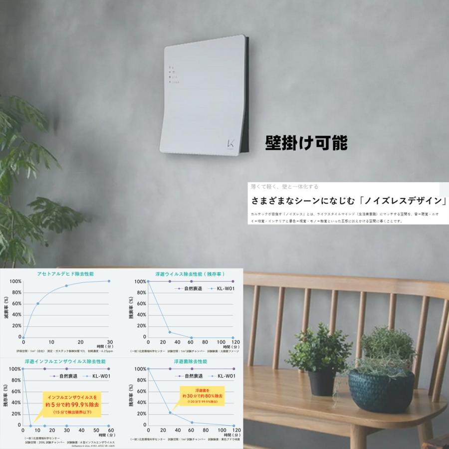 カルテック 光触媒除菌・脱臭機 空気清浄機（8畳まで ホワイト