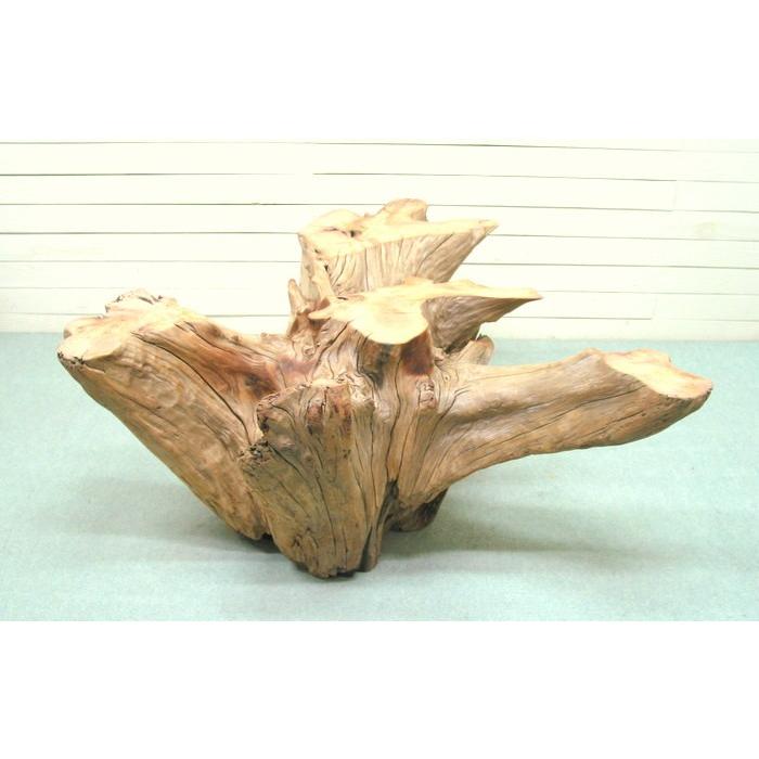 特別セール品】 大型ガラステーブル用切り株流木 ka98 オリジナル流木