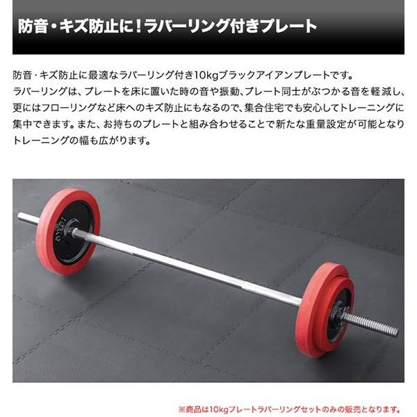 バーベル 用 プレート 10kg 2個セット ブラックアイアン + ラバー