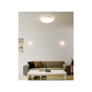 ODELIC（オーデリック） シーリングライト 【OL251816NR】【OL 251