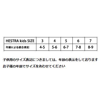 ヘストラ HESTRA ジュニア スキーグローブ 32900 CZONE PRIMALOFT JR