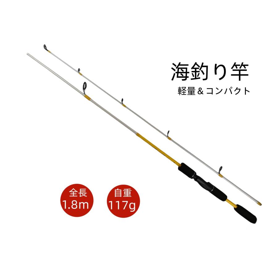 REI-WA 超軽量釣り竿 2本継 高弾性 投げ竿 釣り竿 海釣り ガラス繊維