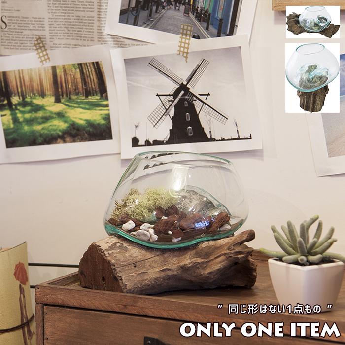 ガラス鉢 流木 プランターオブジェ 置物 オブジェ 天然木 エアプランツ