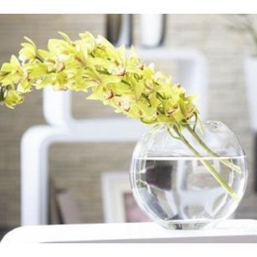 22cm 金魚鉢 テラリウム 花瓶 ガラス おしゃれ 丸い : SHOP SACHI