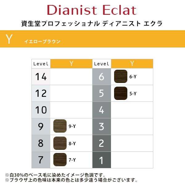 SHISEIDO（資生堂） 資生堂プロフェッショナル ディアニスト エクラ 1