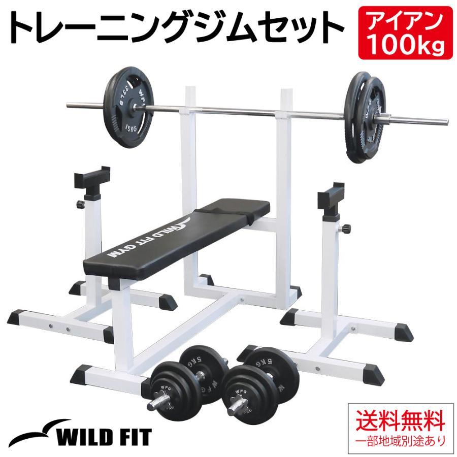 WILD FIT（ワイルドフィット） トレーニングジムセット アイアン 100kg