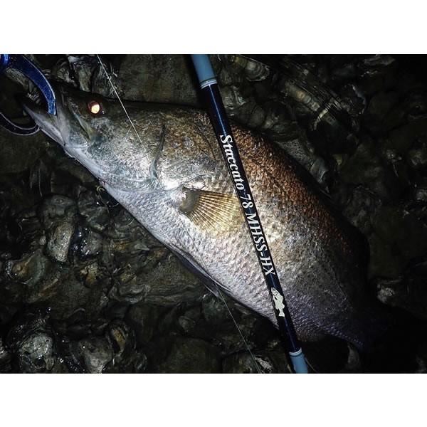 TULALA ツララ ハーモニクス スタッカート78MHSS-HX : ウインズヤフー