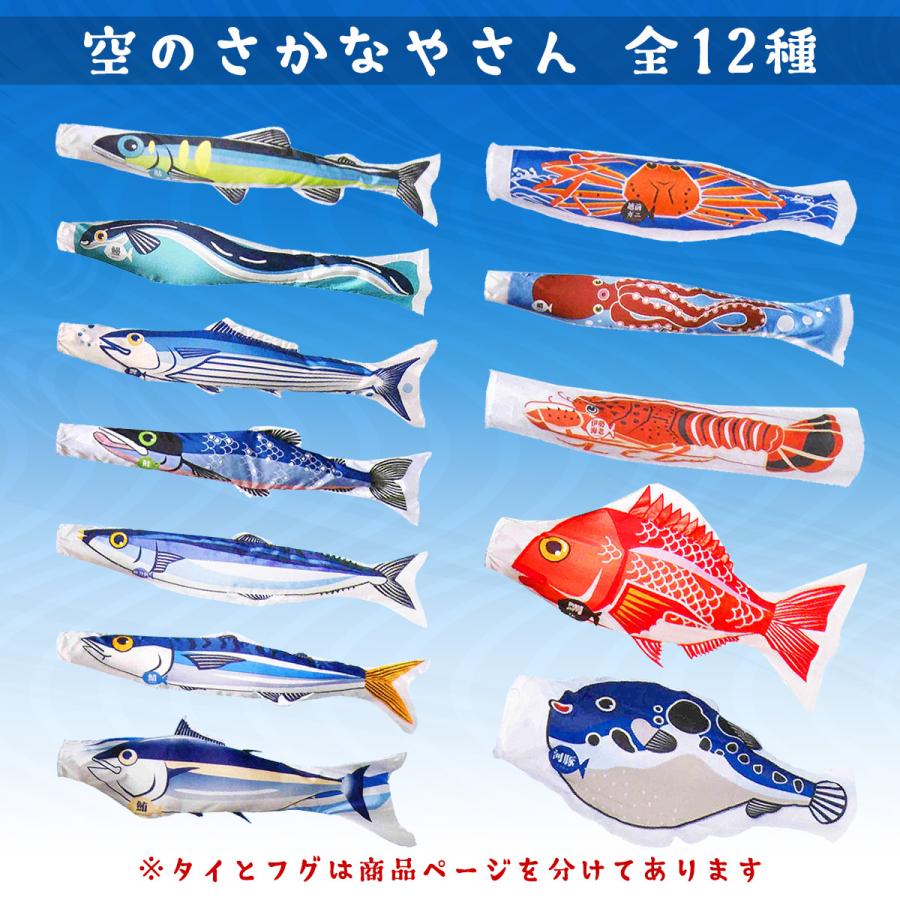 ワタナベ鯉] 空のさかなやさん 2m 魚のぼり旗 （全12種：鮎 鰻 鮭 鰹