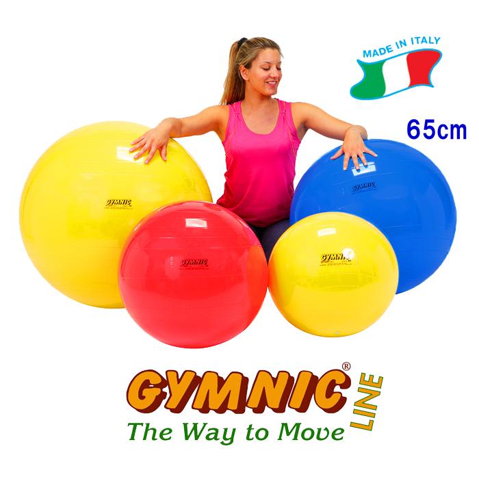 ギムニクボール65（ブルー） 直径65cm 身長160cm〜174cm ギムニク