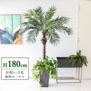 ☆立札無料☆【すぐ飾れる】 フェイクグリーン 人工観葉植物